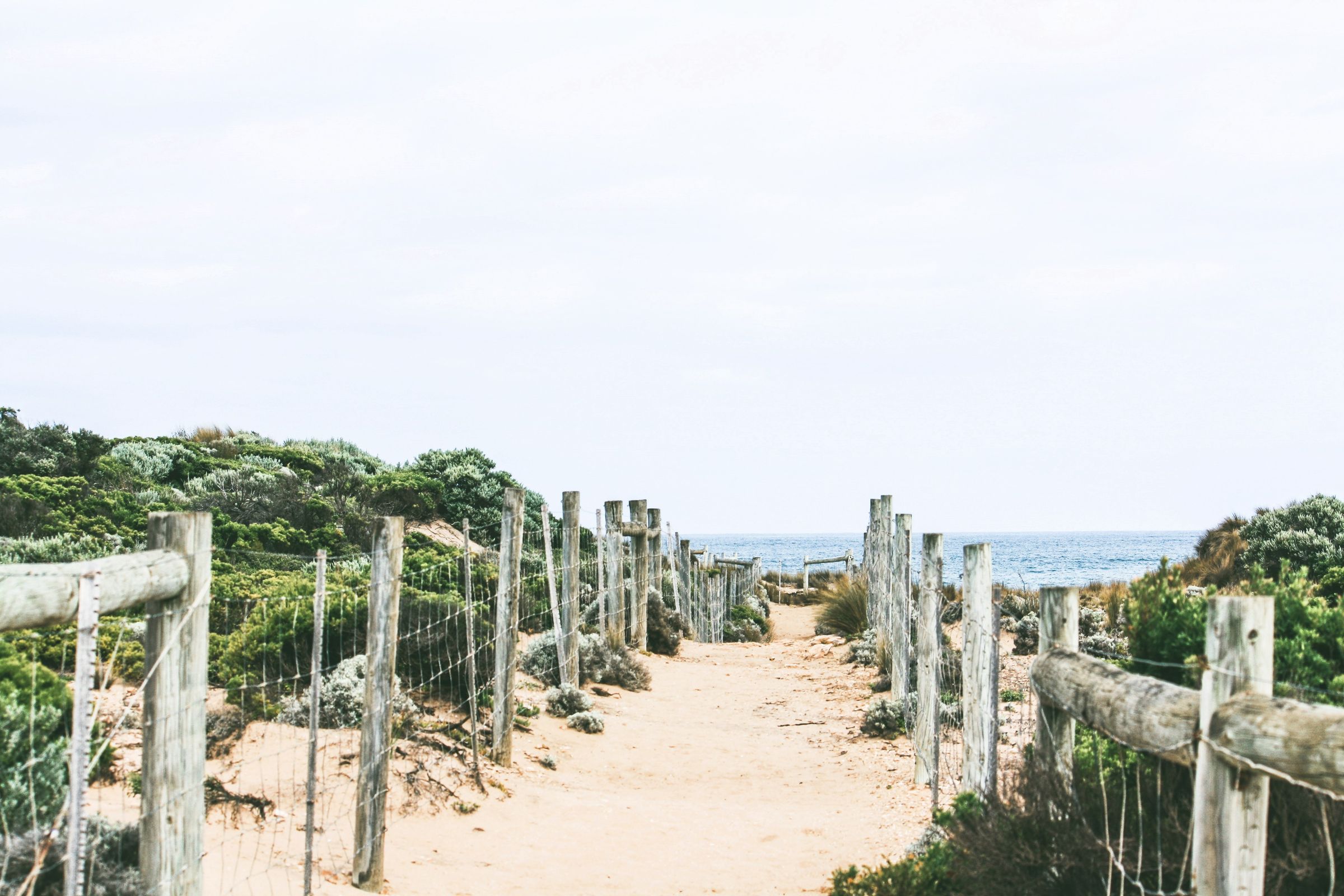 A sandy walking track between timber fences leading to the beach