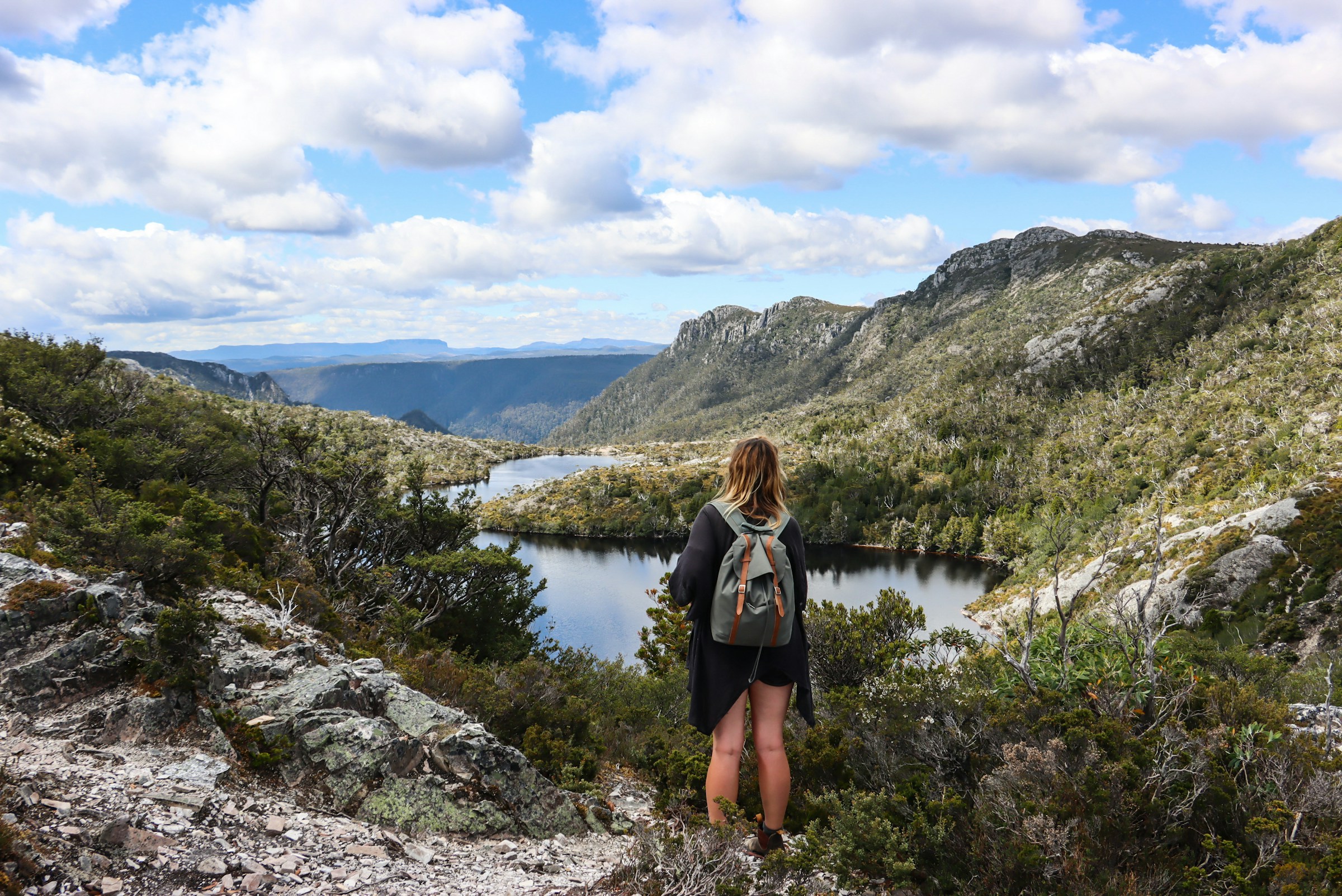 A hiker with a backpack looking out over a green valley and lake