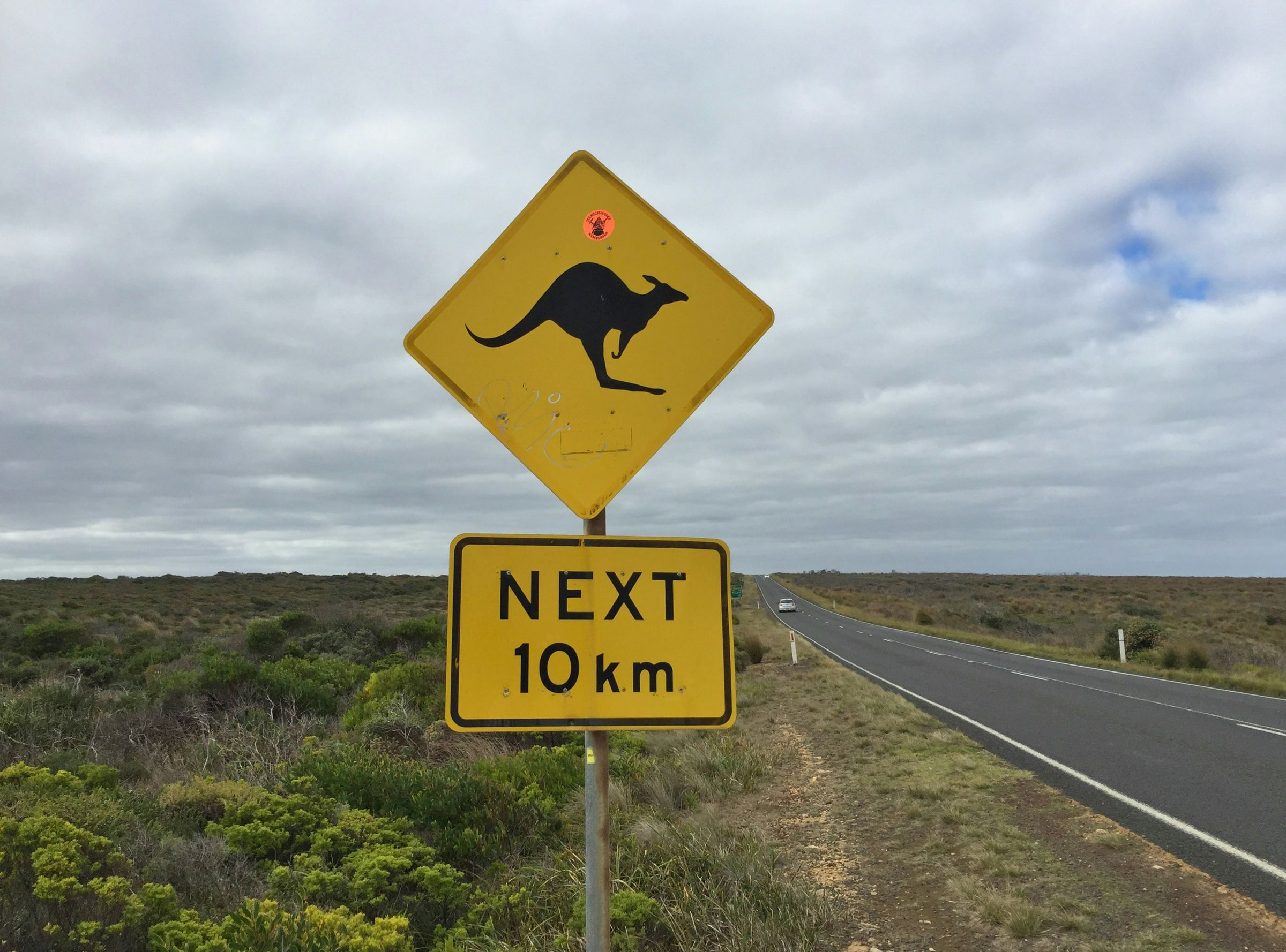 Yellow kangaroo warning sign beside an outback road